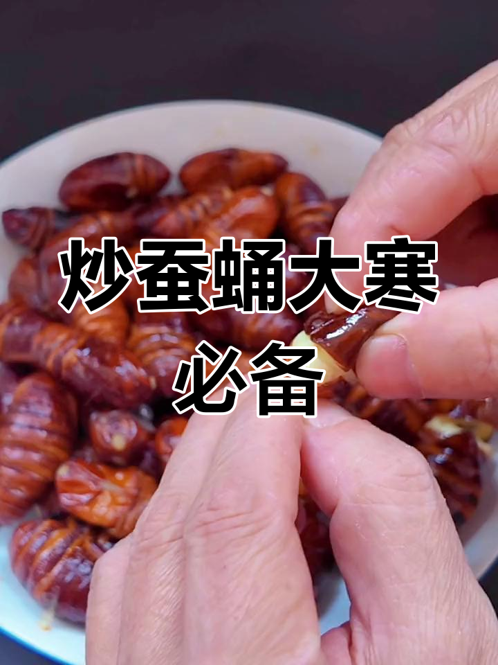 大寒节气必吃炒蚕蛹,鲜嫩爆浆滋补美味
