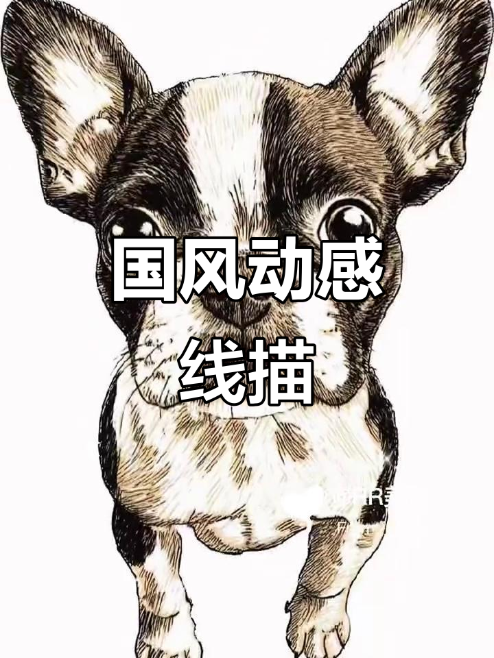 黑白线描动物,国风元素与动漫风格碰撞