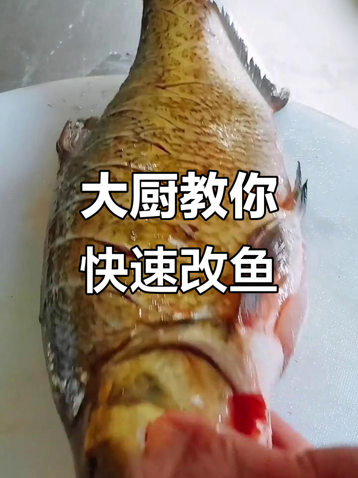 绝嘴岛大鱼刀工技巧,快速切花刀轻松入味
