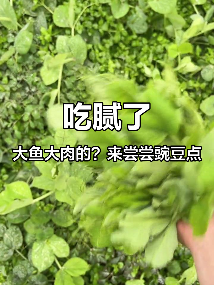 过年不吃大鱼大肉,试试豌豆点炒饭!