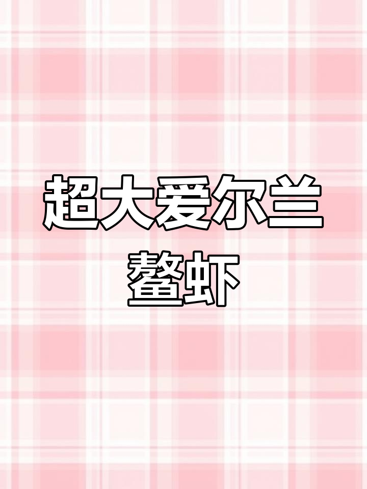 爱尔兰深海鳌虾,超越斯甘比