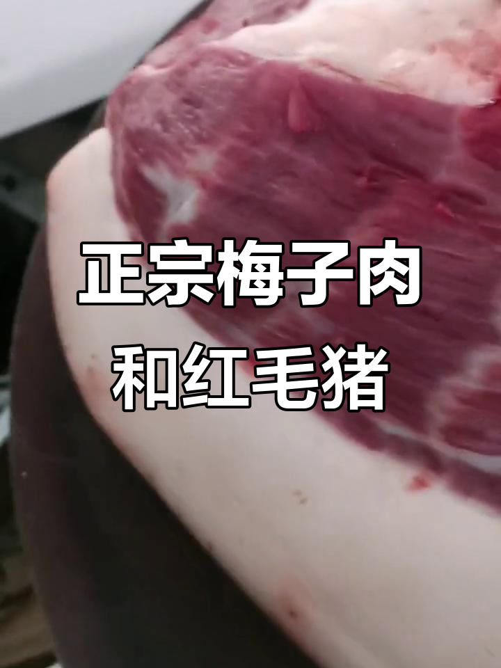 梅子肉与红毛猪肉大揭秘,正宗美味不容错过