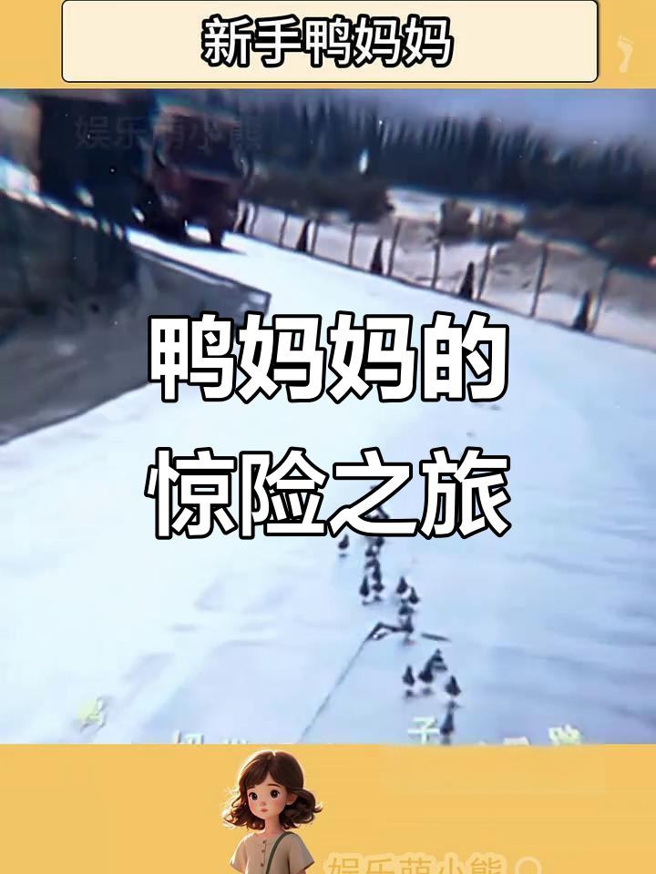 鸭妈妈带小鸭子过马路,遇到大货车吓得差点上天