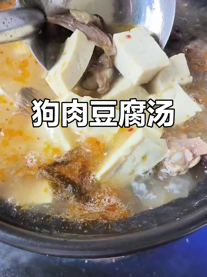 狗肉炖豆腐，厨房里的美味故事