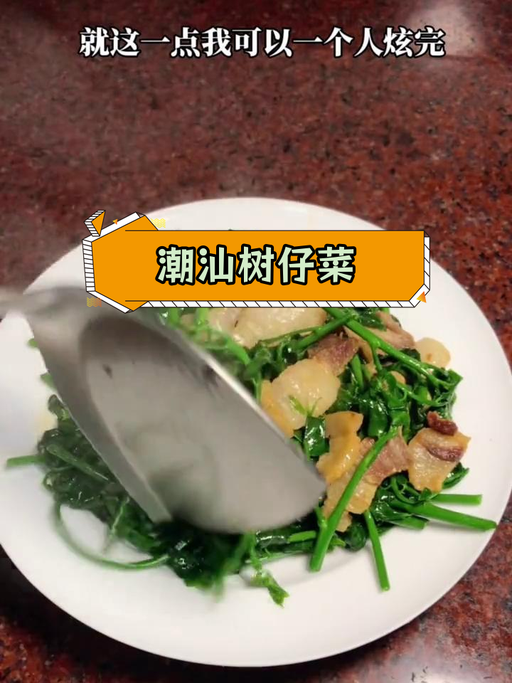 潮汕特有树菜,嫩枝可食营养高