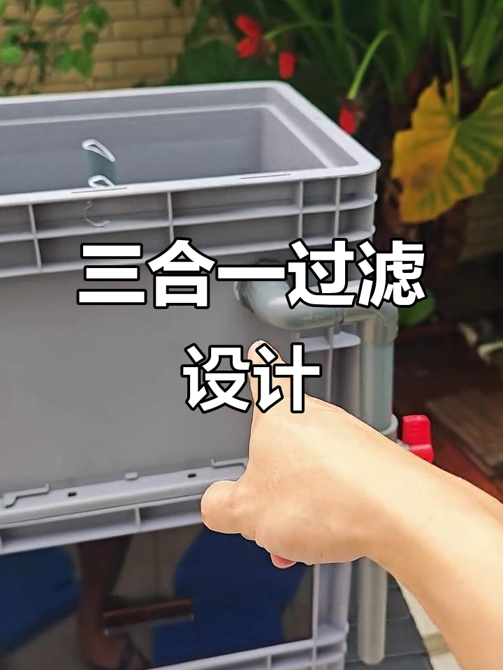 鱼池过滤系统，三合一设计减少换棉频率