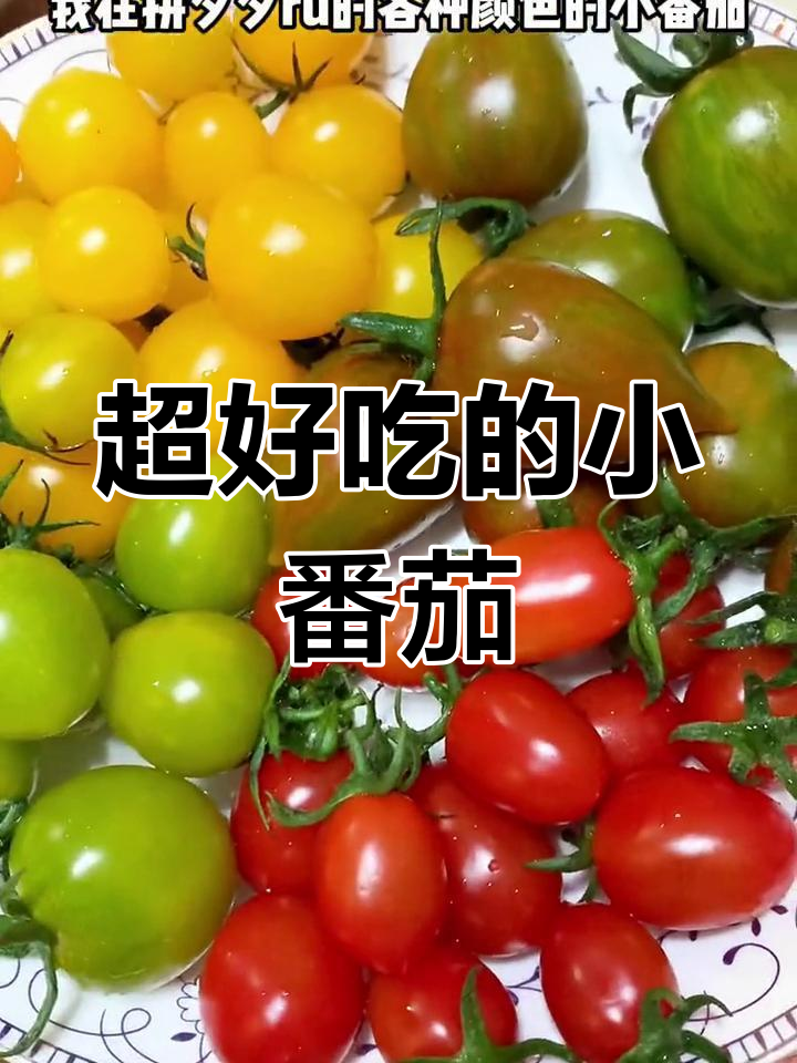 各种口味小番茄,甜脆爆汁