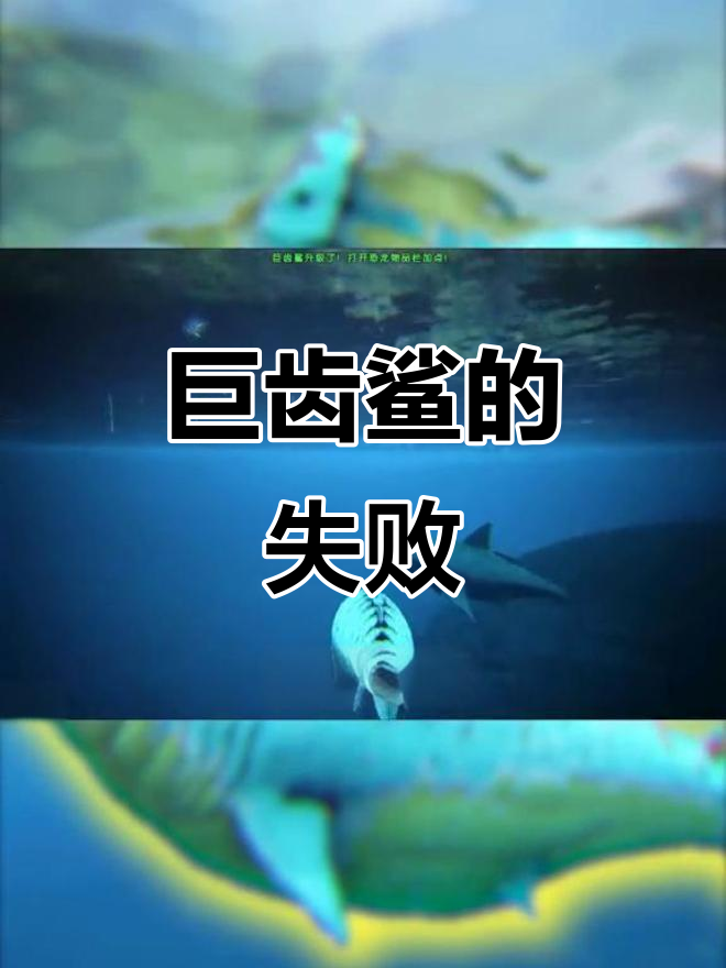 巨齿鲨为何败给食人鱼?深海霸主竟如此脆弱!