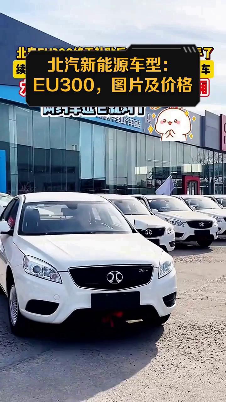 北汽新能源车型:EU300,图片及价格
