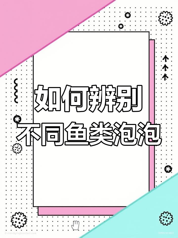 各种鱼吐泡特征大揭秘,如何分辨鲫、草、青、鲤等鱼的泡泡