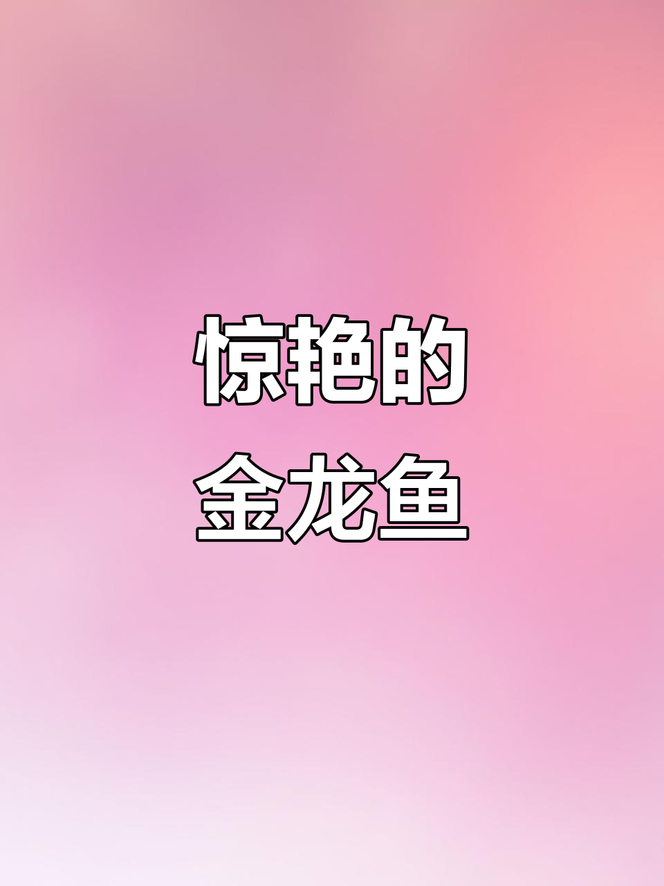 金龙鱼太美了,兄弟们快来看!