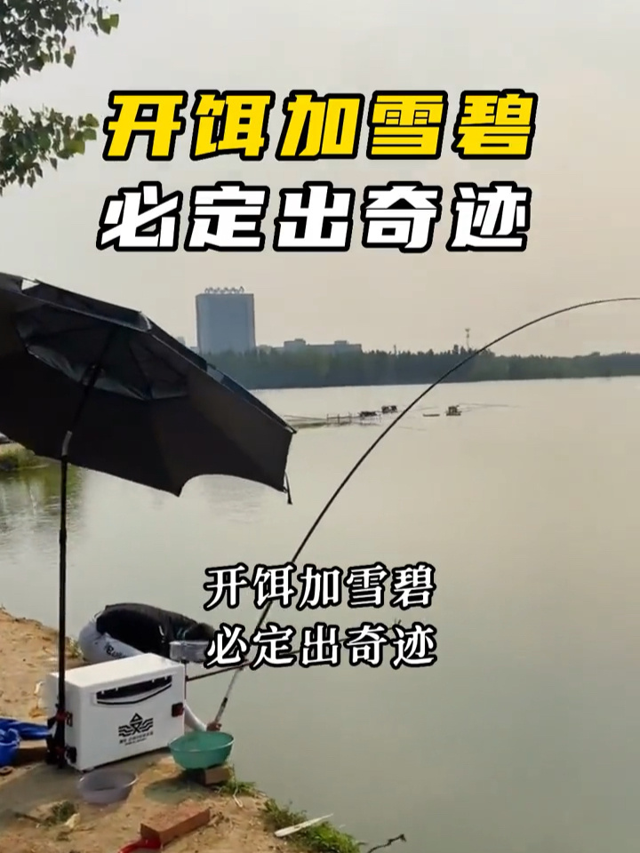 开饵加雪碧,必定出奇迹