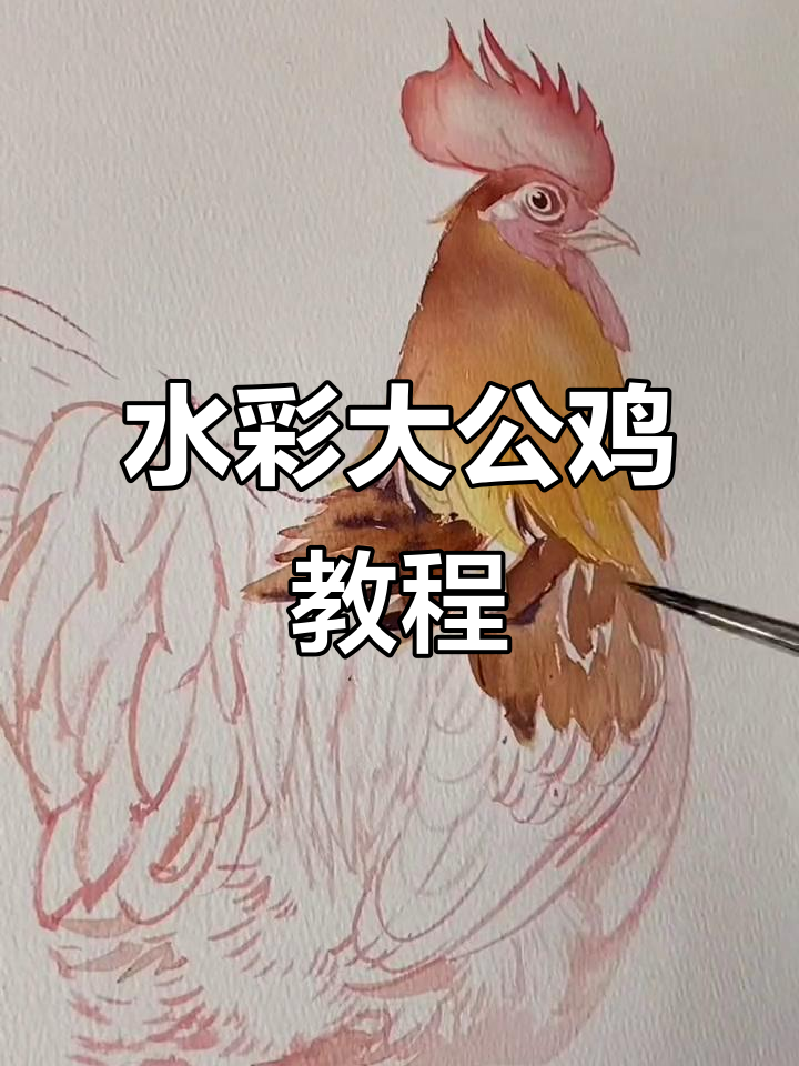 用水彩画一只栩栩如生的大公鸡，步骤简单又有趣