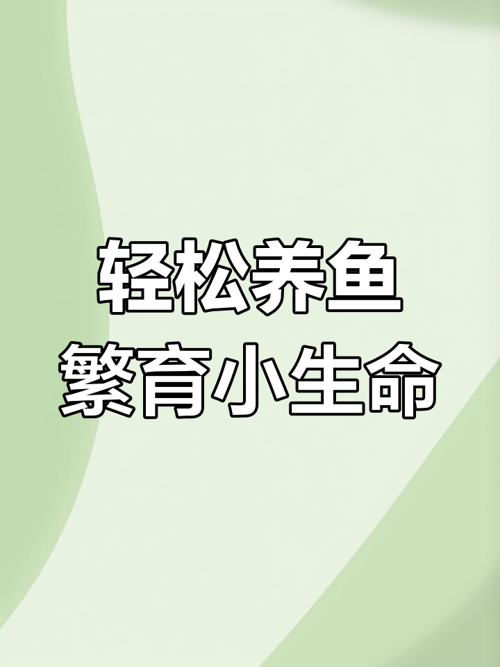 斑马繁殖全流程:从母鱼产卵到小鱼孵化