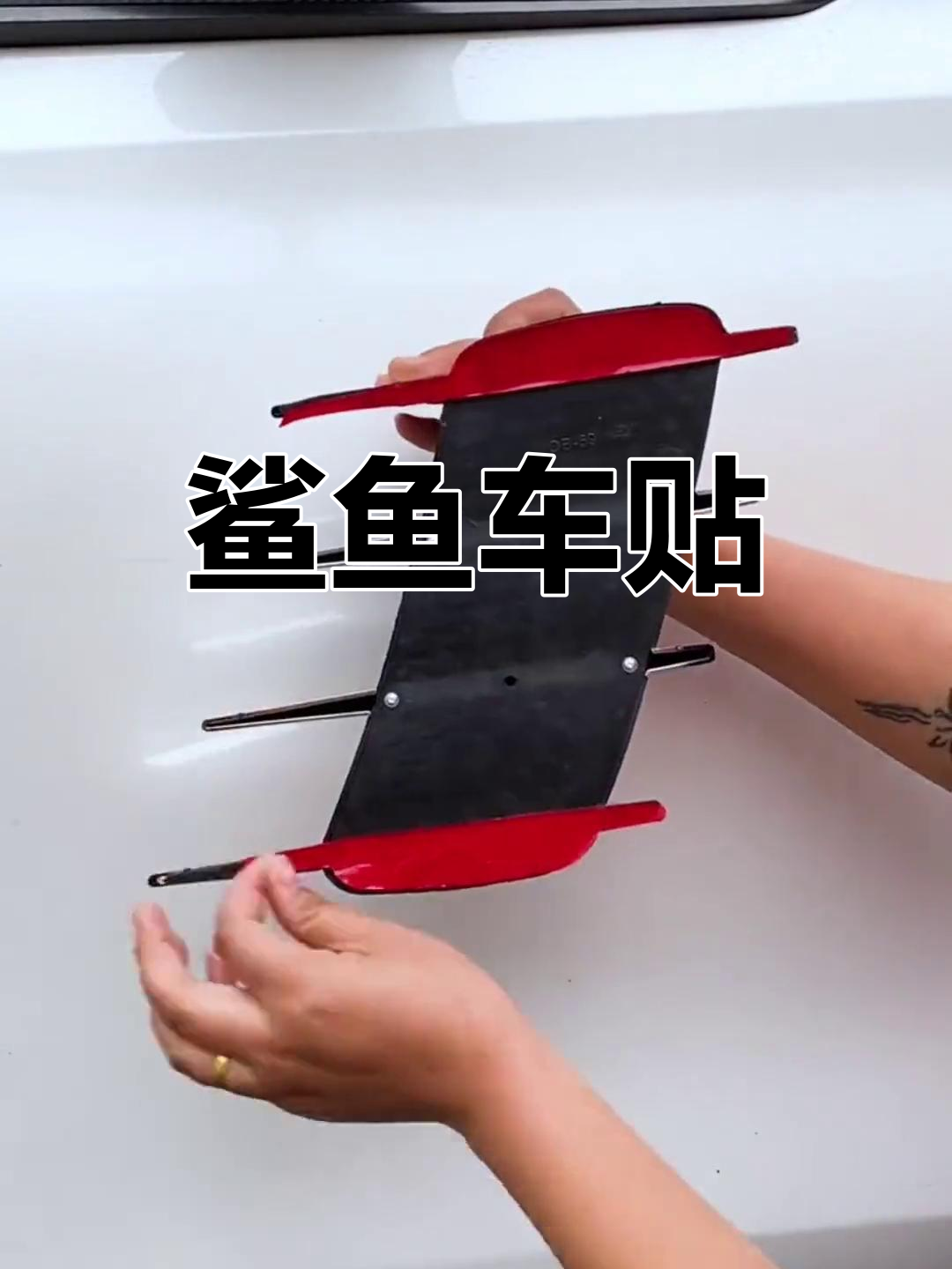 鲨鱼图案汽车贴纸设计