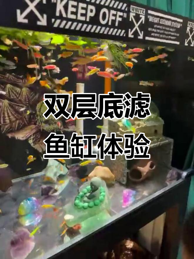 双层底滤鱼缸定制,客户反馈效果惊艳