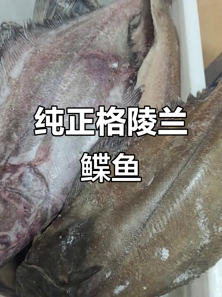 格陵兰鲽鱼,纯净无添加,进口时未加冰衣或保水剂