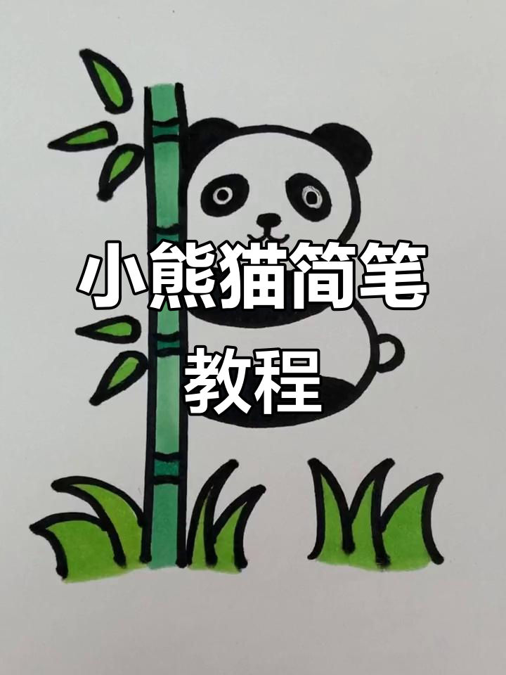 小熊猫简笔画,轻松上手,适合孩子一起动手画!