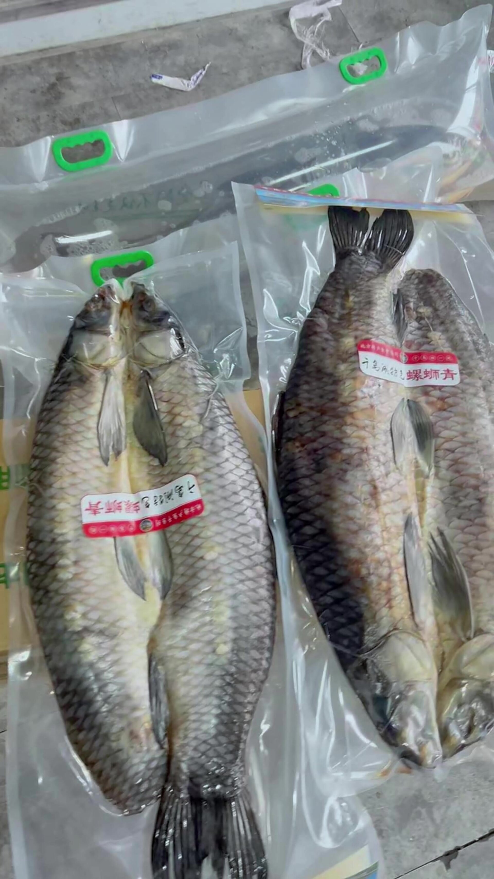 千岛湖螺蛳青鱼干