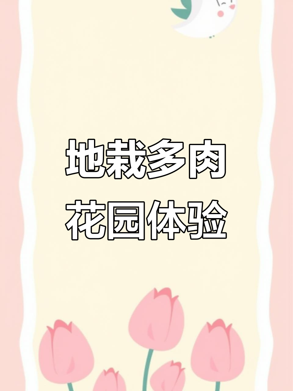 同样的位置,不一样的感受!地栽多肉花园设计大揭秘