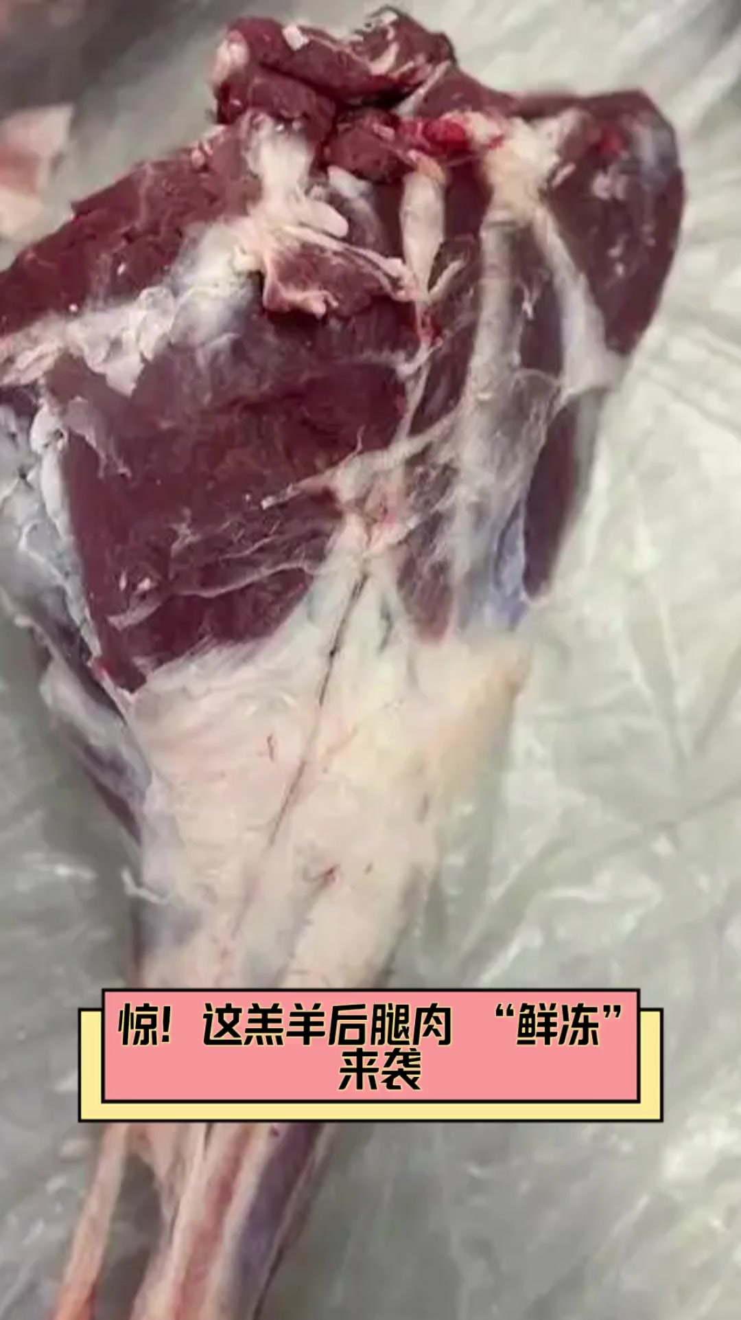 惊!这羔羊后腿肉,“鲜冻”来袭