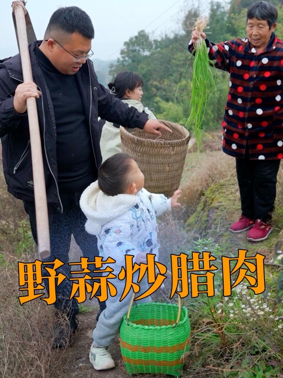 又到挖野菜的季节啦，用现挖的野蒜炒腊肉，饭都要多吃两大碗！我的乡村生活 农村生活