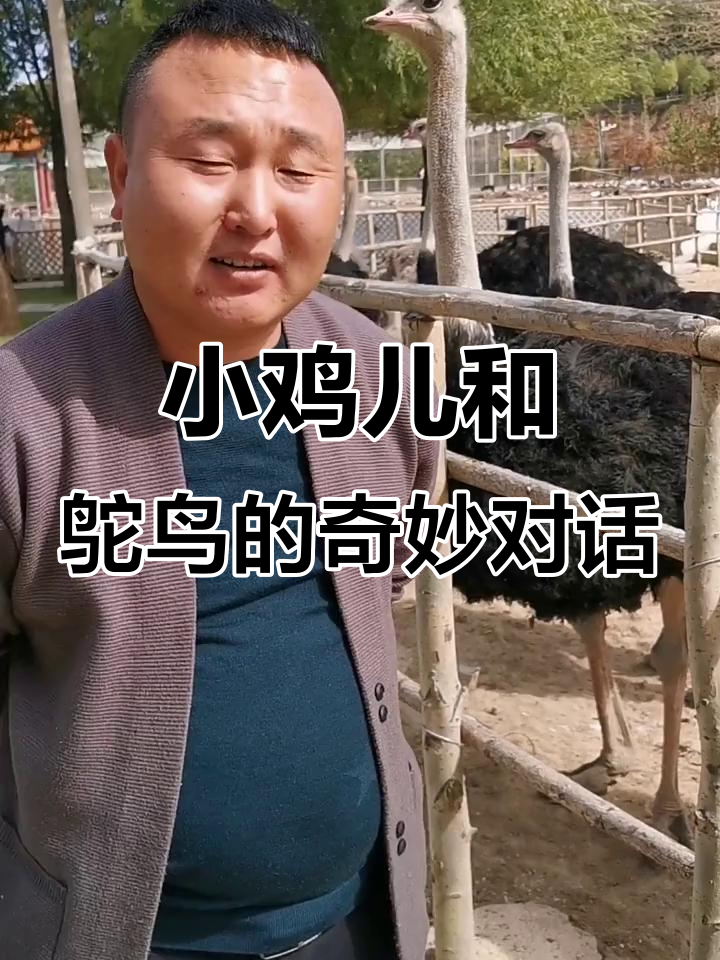 鸵鸟小鸡儿大揭秘,矿里环境真不错