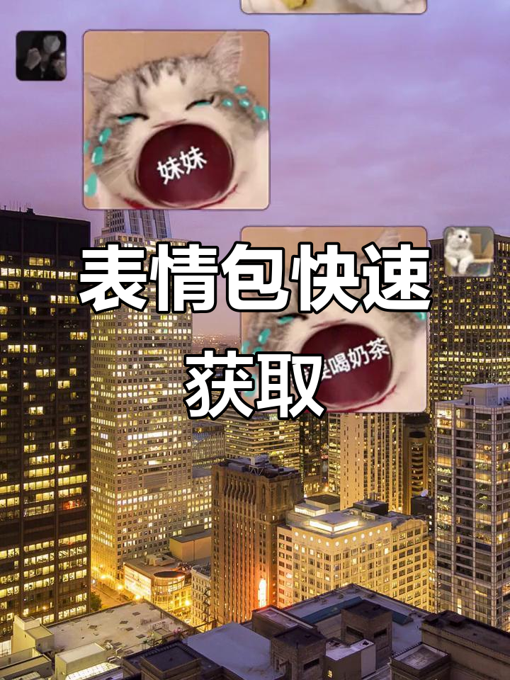 在视频上方搜索“3MYZ7”,轻松获取表情包!