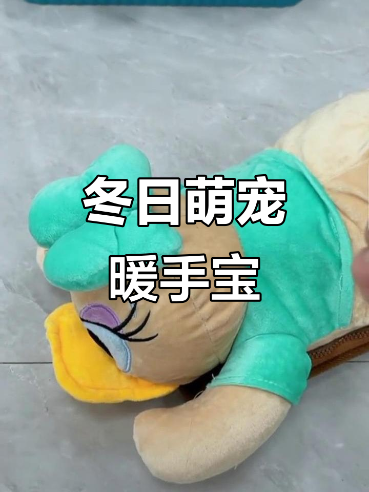 毛绒电热水袋,防爆设计,温暖可爱,冬季必备暖手宝