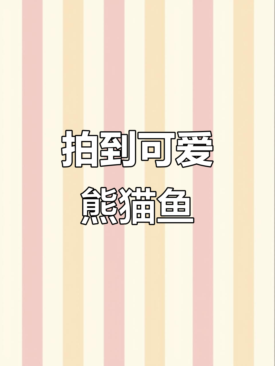手机拍摄熊猫鱼厚唇吸鳅,萌态十足