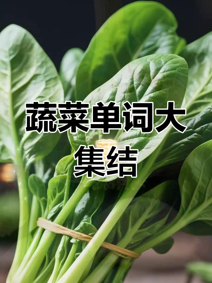 蔬菜英语单词,高清图解助力记忆