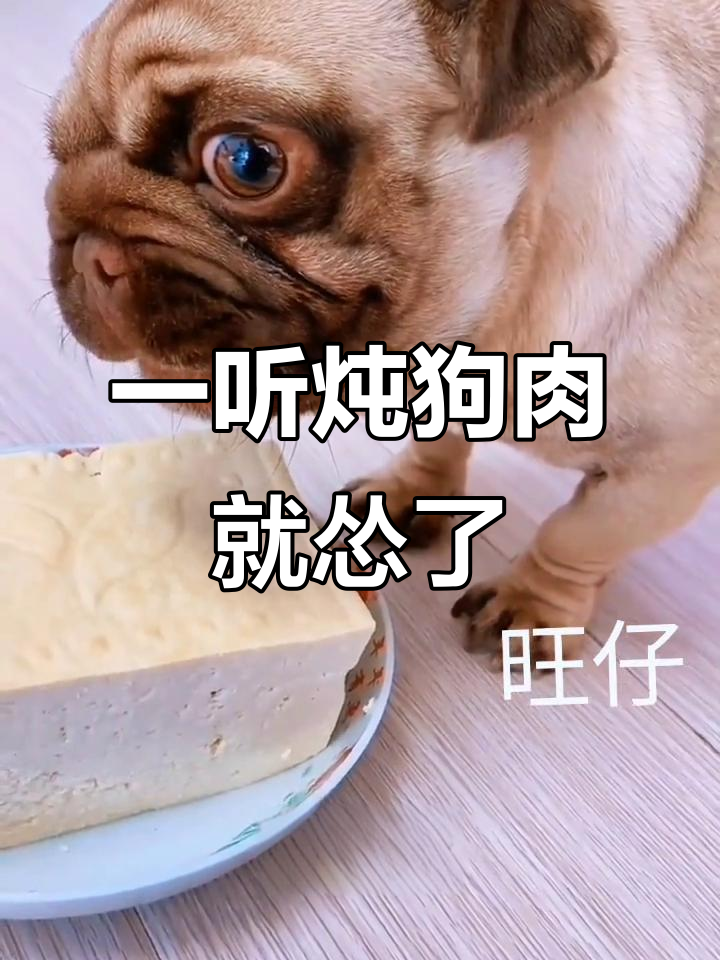 豆腐炖狗肉,竟然吓得它逃跑!