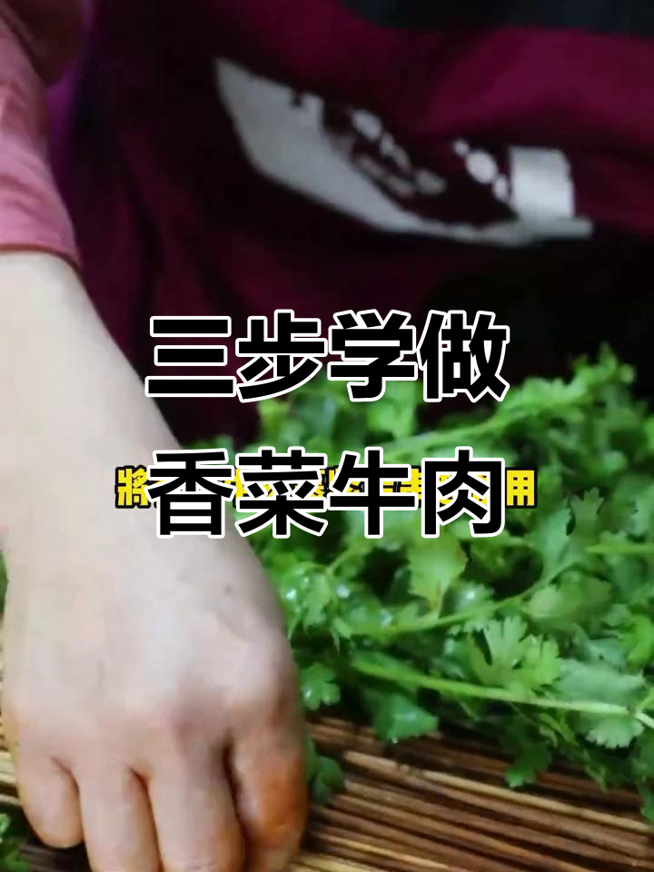 香菜牛肉串烧香制作秘籍，轻松学会三步搞定