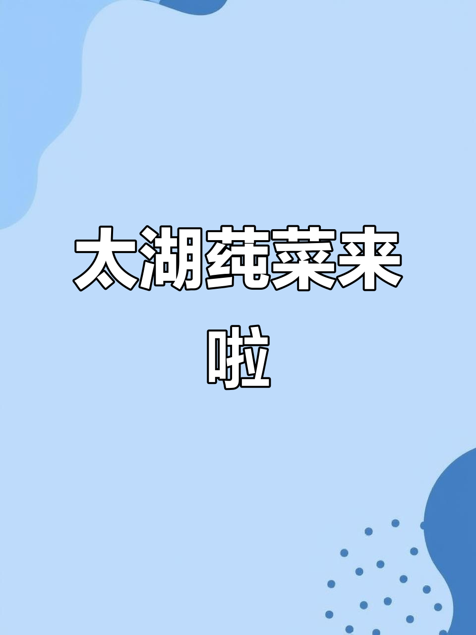 太湖莼菜新鲜上市,鲜美无比让人惊艳