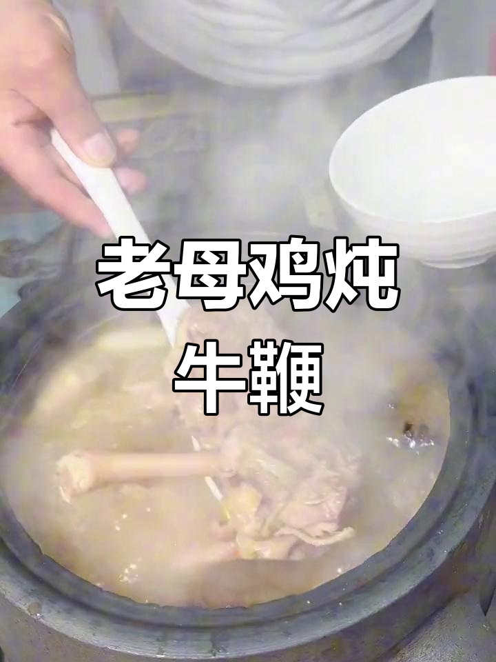 经典老母鸡炖牛鞭,滋补又美味