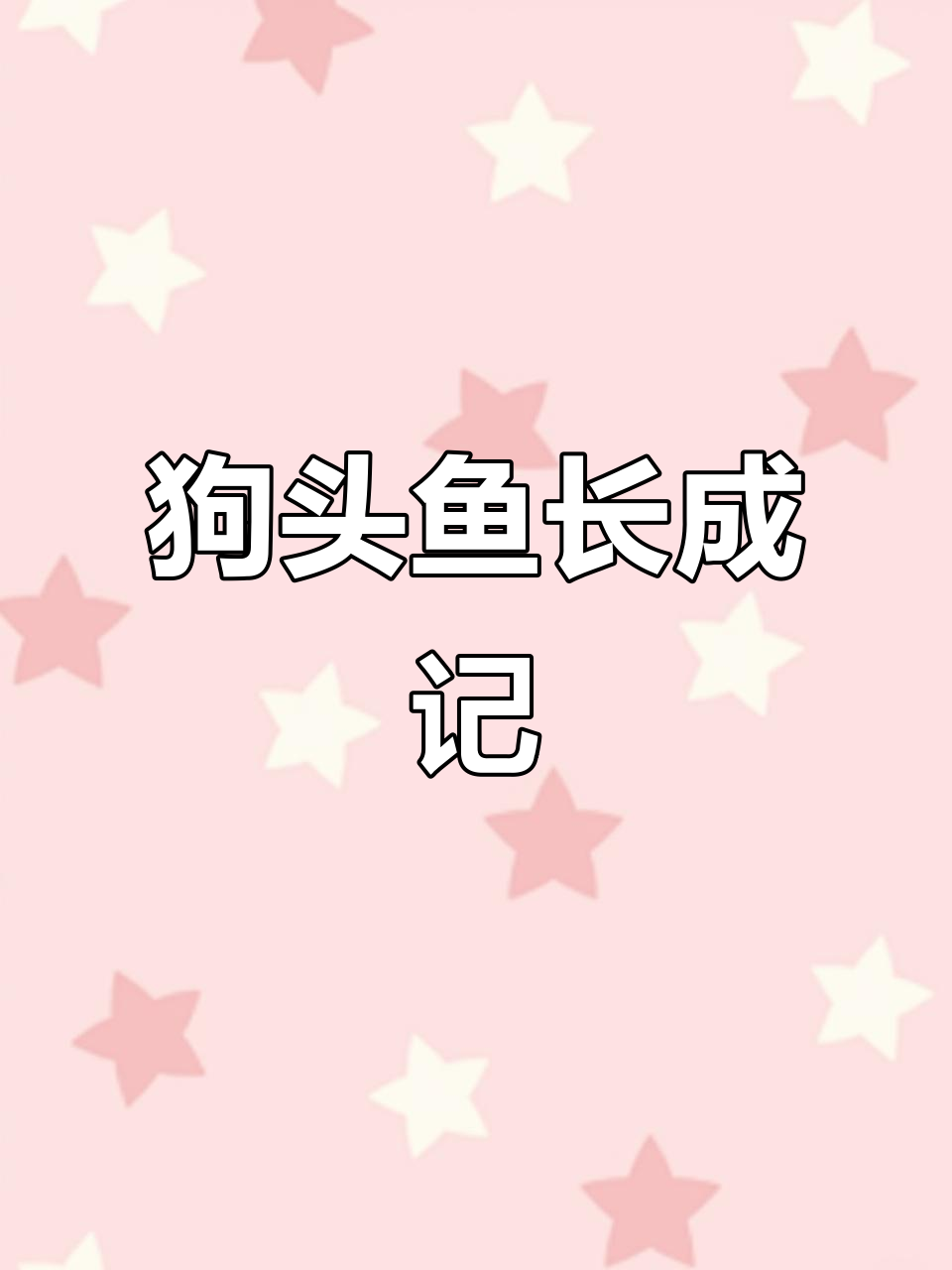 皇冠狗头鱼从11厘米到45厘米,一年两个月快速成长