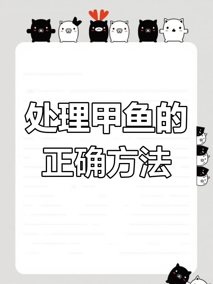 甲鱼宰杀与处理技巧