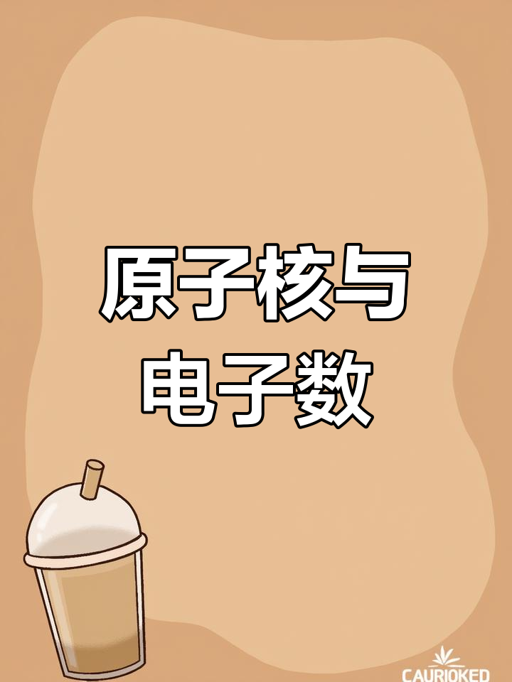 粒子结构示意图解析
