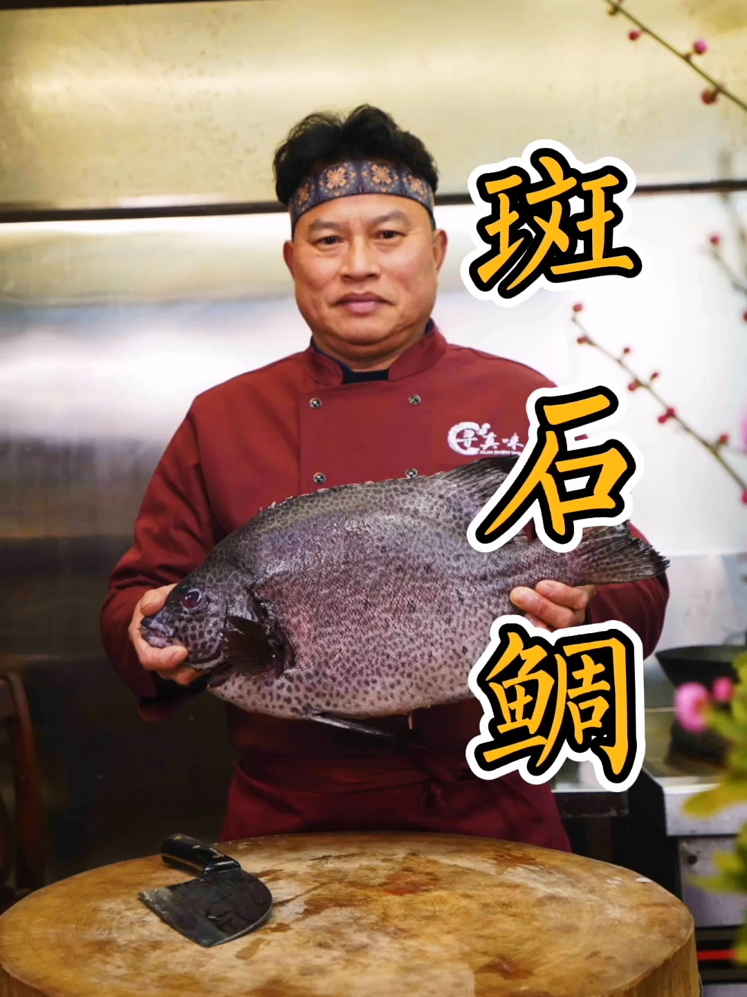 一条鲜美斑石鲷,做成九味真不孬!