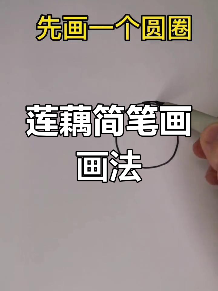 简单又好吃的莲藕简笔画,零基础也能轻松学会