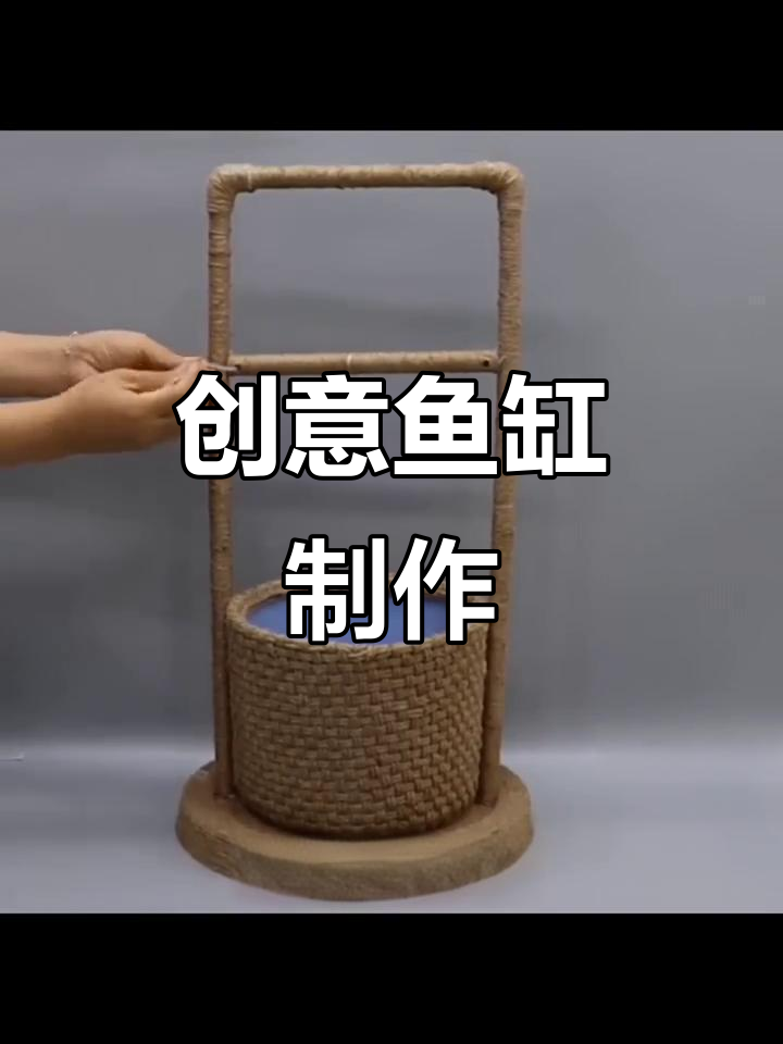 用旧水桶做创意鱼缸,既环保又有趣!