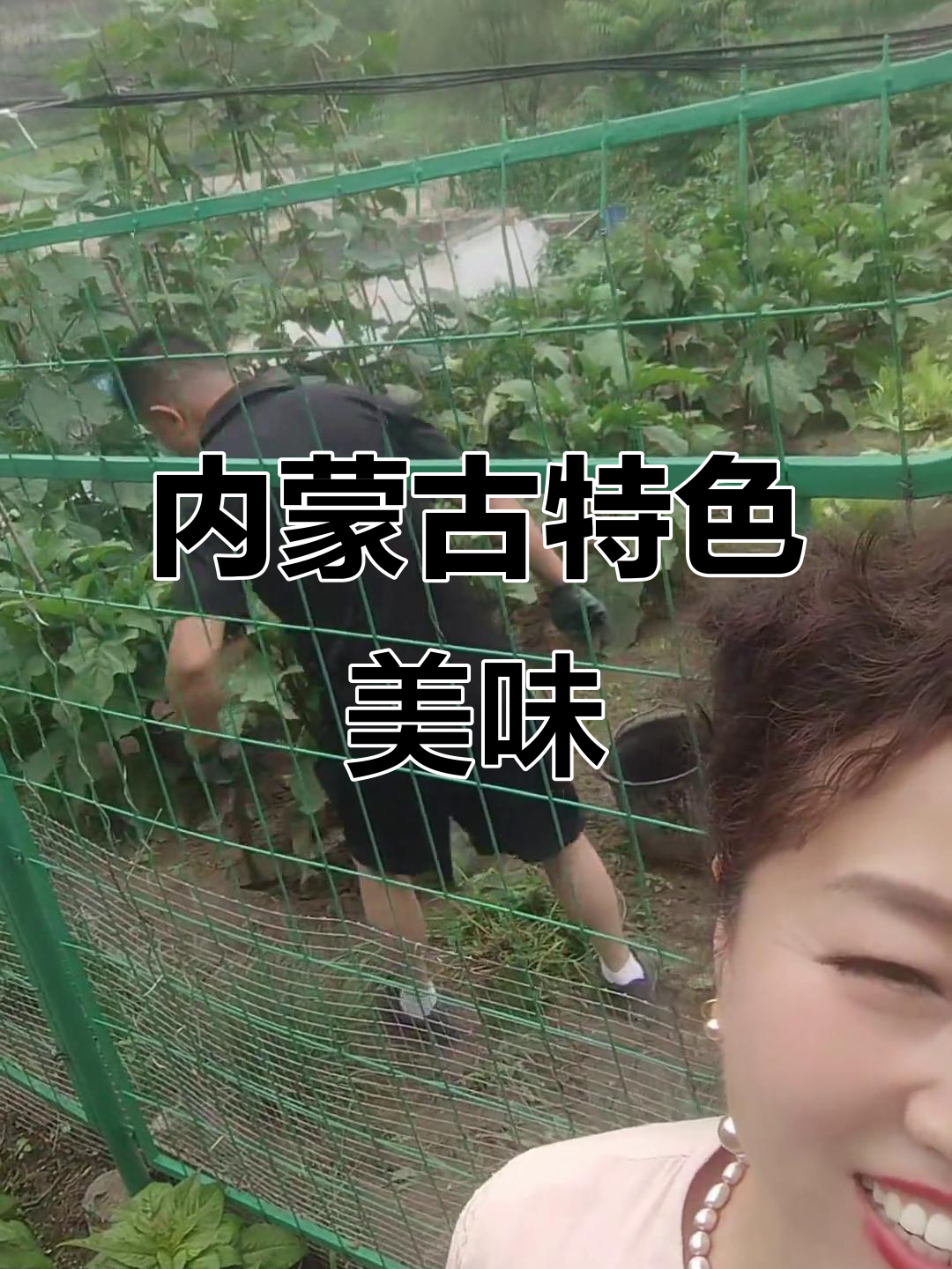 内蒙古美食大揭秘,羊排、蛋糕样样来!