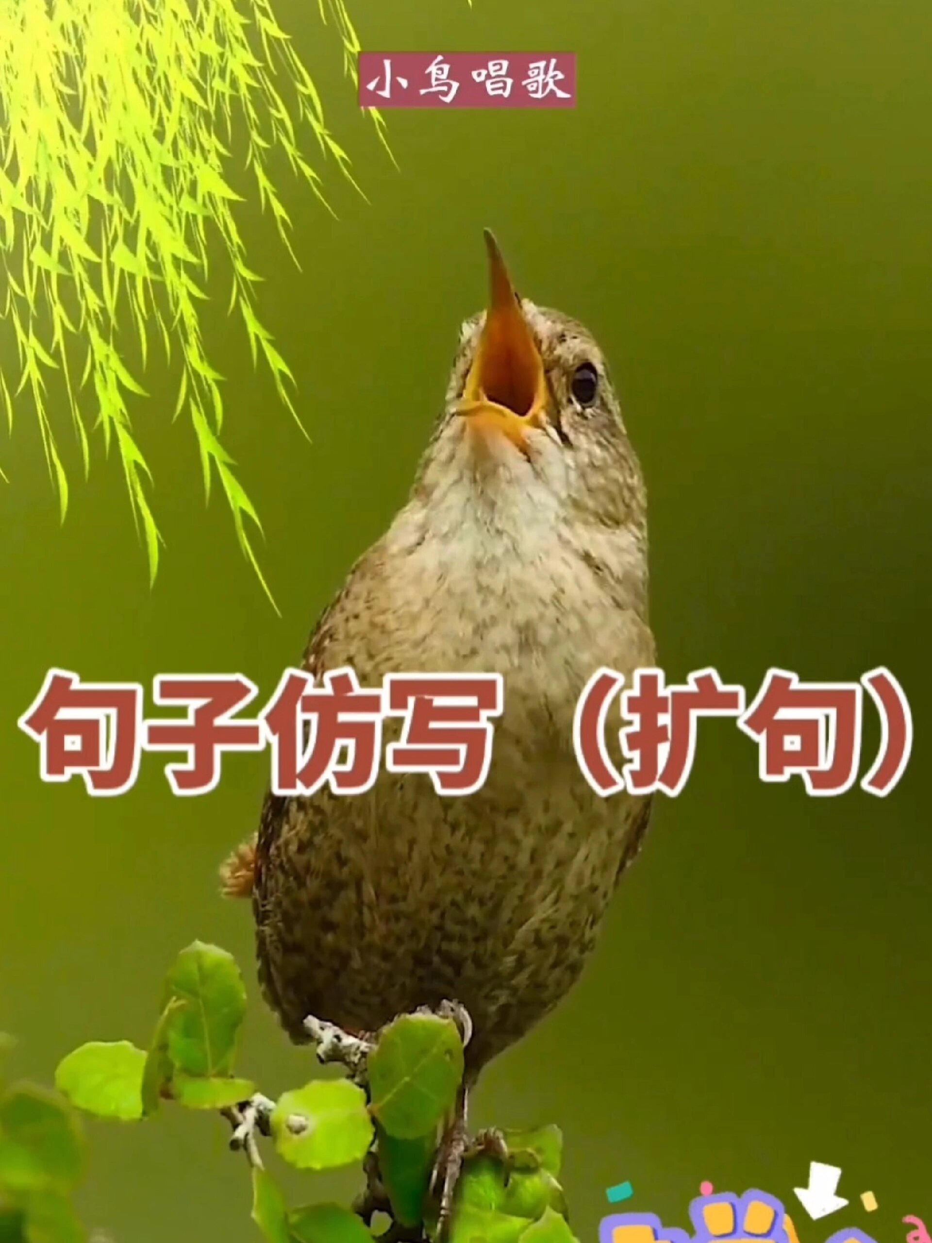 扩句的方法和技巧,一看你就明白了!