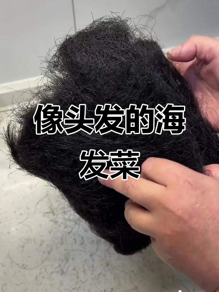 海发菜煮汤，鲜美如丝滑的头发