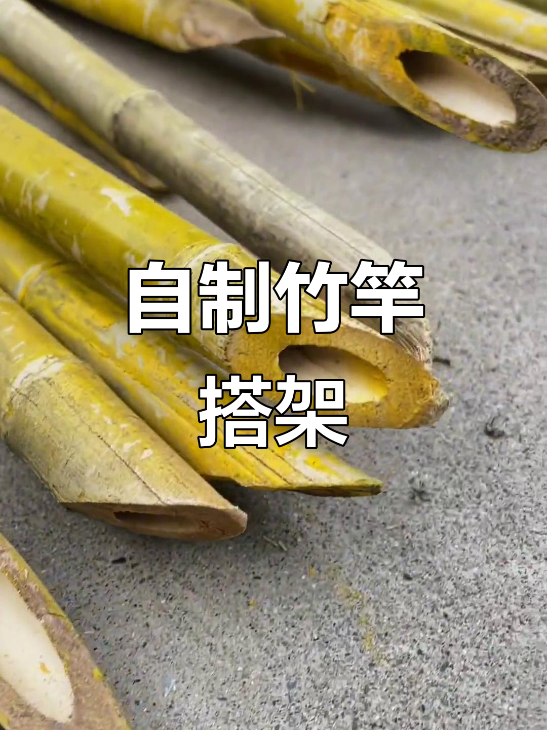 竹竿打棚架，蔬菜瓜果更安心