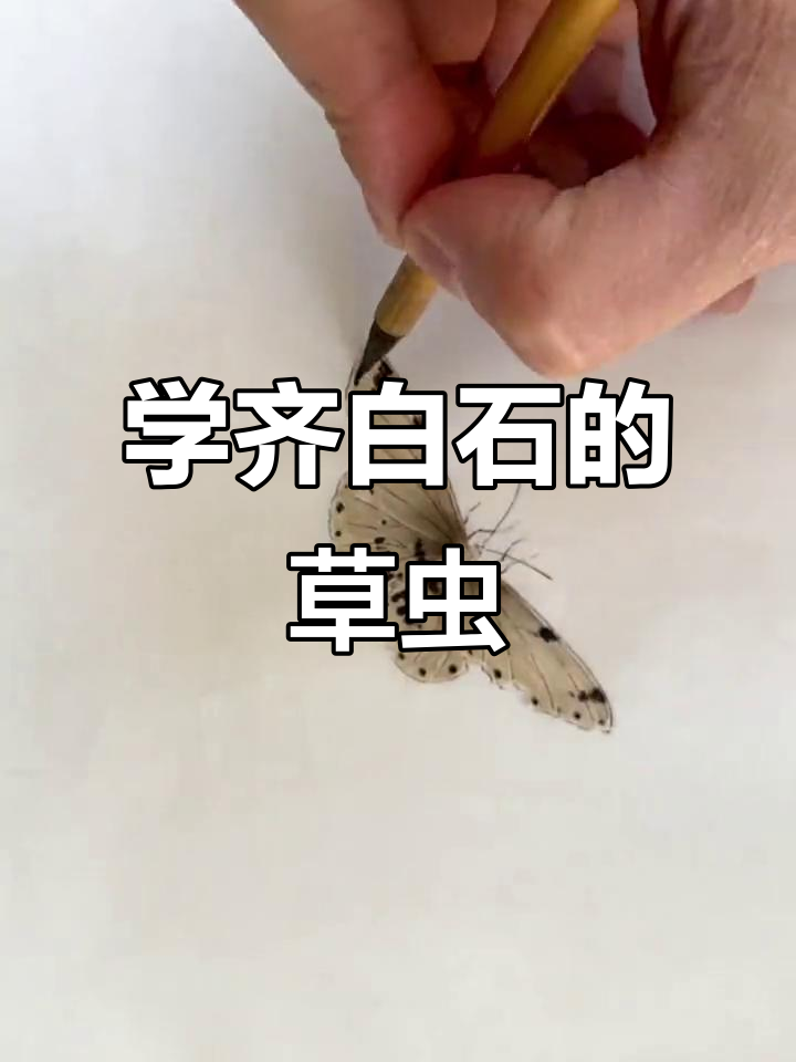 齐白石草虫画法解析,带你领略国画的魅力