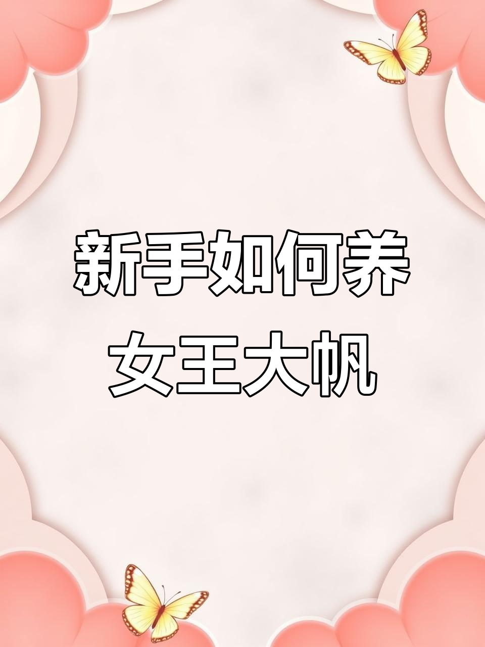 女王大帆难养吗?新手必看养殖技巧
