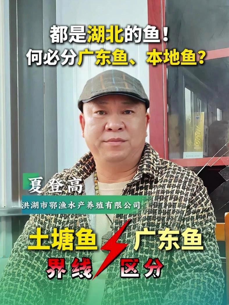 都是湖北的鱼！何必分广东鱼、本地鱼？2025第七届中国鳜鲈产业论坛 驭势立新 问鳜鲈新道，