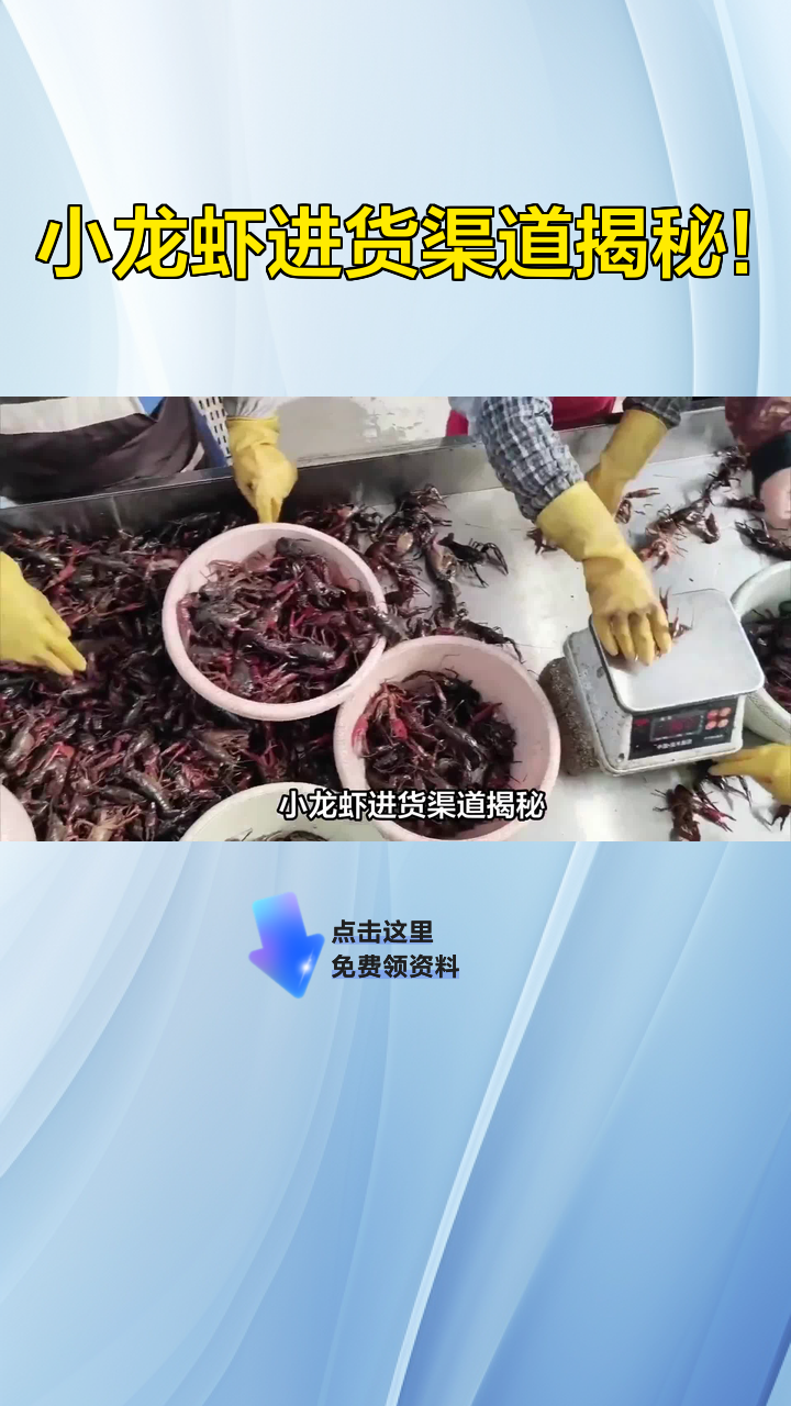 小龙虾进货渠道揭秘!