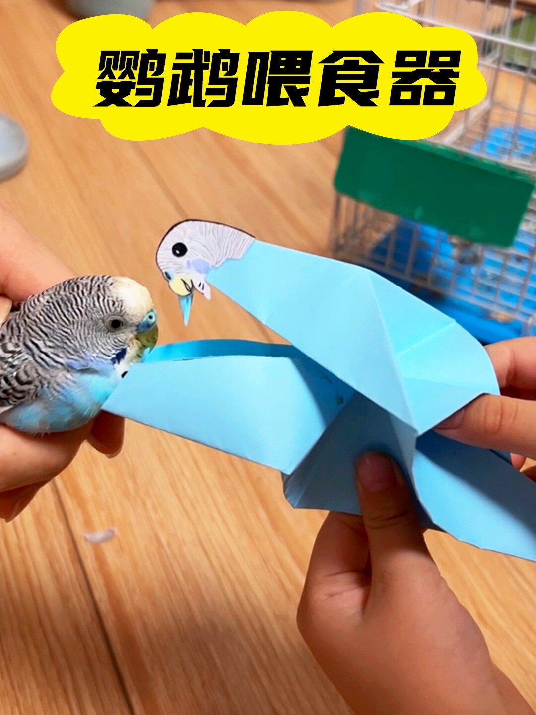又做了个好玩的手工,自制鹦鹉喂食器!
